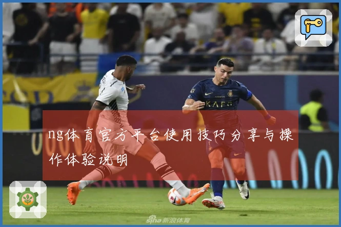 ng体育官方平台使用技巧分享与操作体验说明