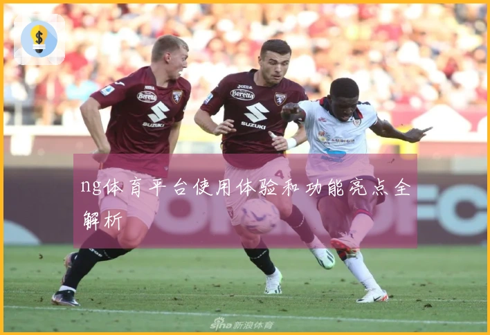 ng体育平台使用体验和功能亮点全解析