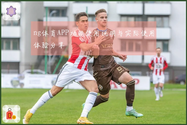 ng体育APP功能使用说明与实际使用体验分享