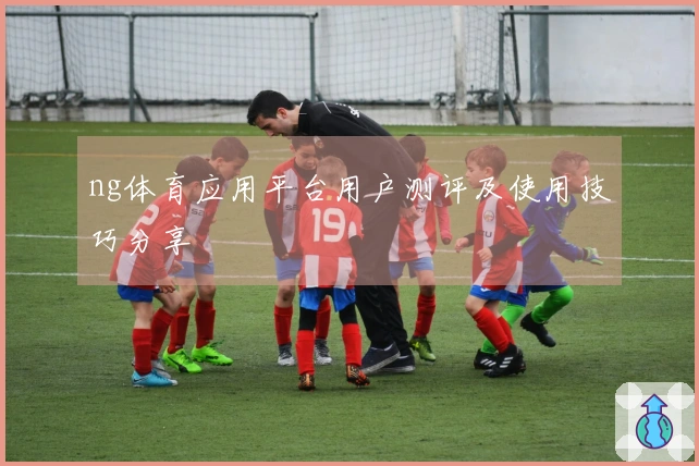 ng体育应用平台用户测评及使用技巧分享