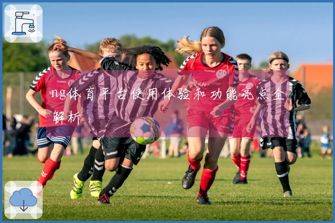 ng体育平台使用体验和功能亮点全解析