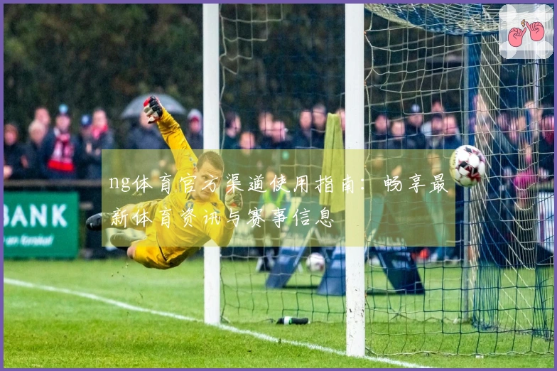 ng体育官方渠道使用指南：畅享最新体育资讯与赛事信息