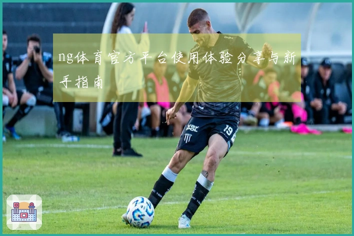 ng体育官方平台使用体验分享与新手指南