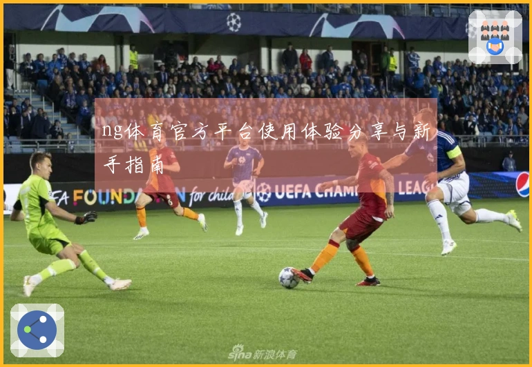 ng体育官方平台使用体验分享与新手指南